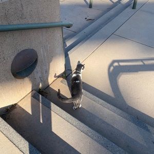 Meet your Posher, Maija